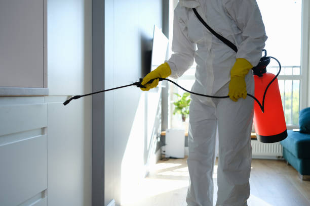 Office Mold Removal Services in Contra Costa Centre, CA