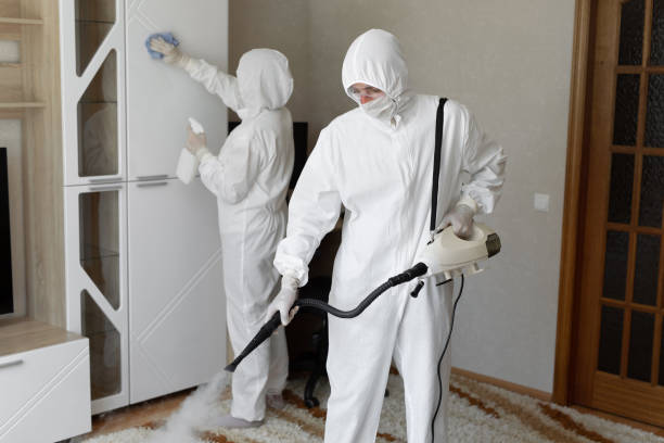 Mold Removal Process in Contra Costa Centre, CA