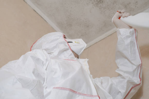 Best Mold Removal Near Me  in Contra Costa Centre, CA