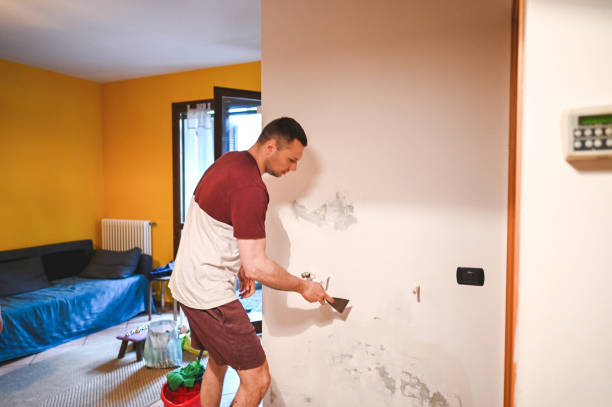 Best Same-Day Mold Removal  in Contra Costa Centre, CA